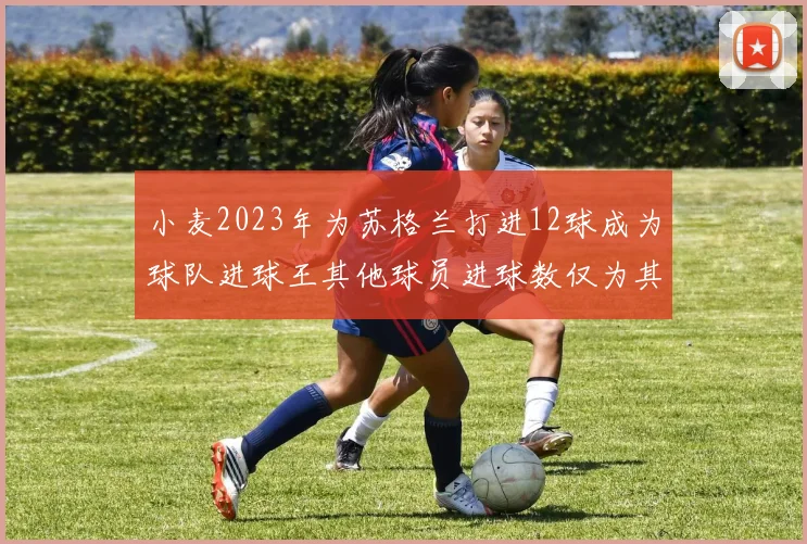 小麦2023年为苏格兰打进12球成为球队进球王其他球员进球数仅为其一半